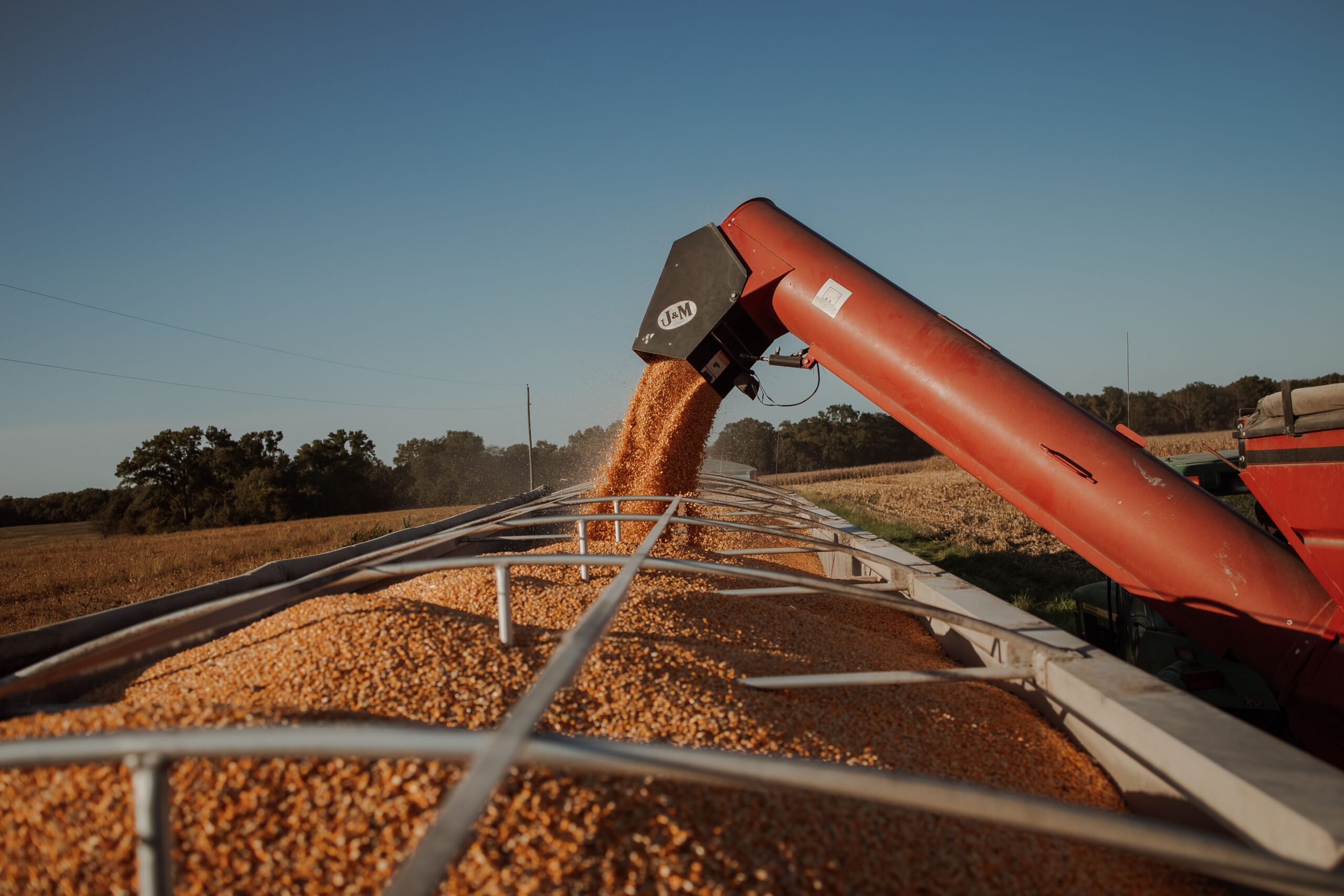 grain loading pic