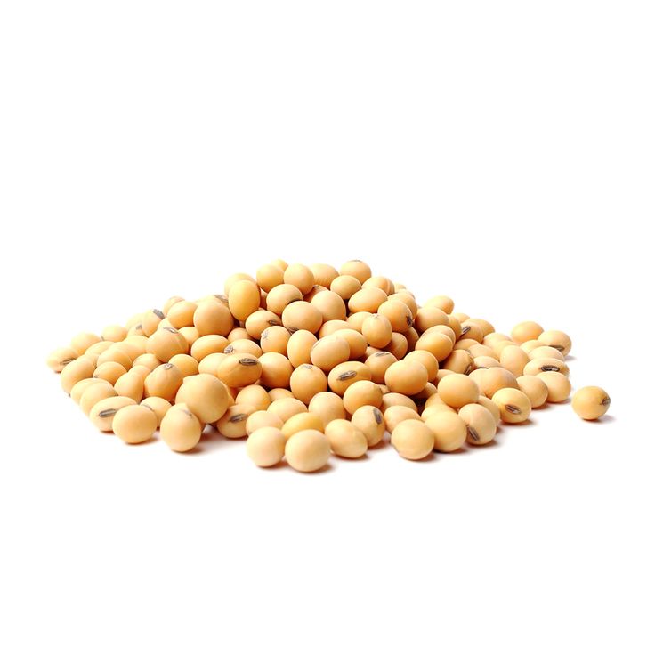 soy beans white background